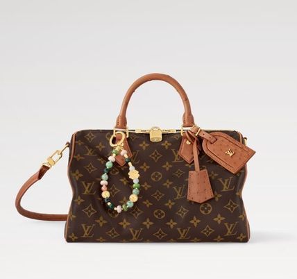 便利なサイズ感♪】ルイヴィトン スピーディソフト30 バッグ (Louis