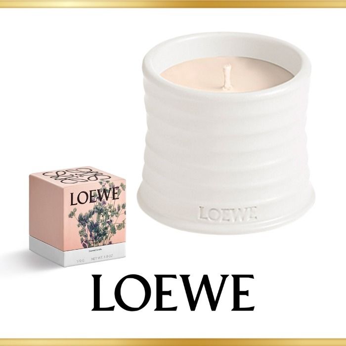 ギフトにも！【LOEWE】オレガノ キャンドル スモール (LOEWE