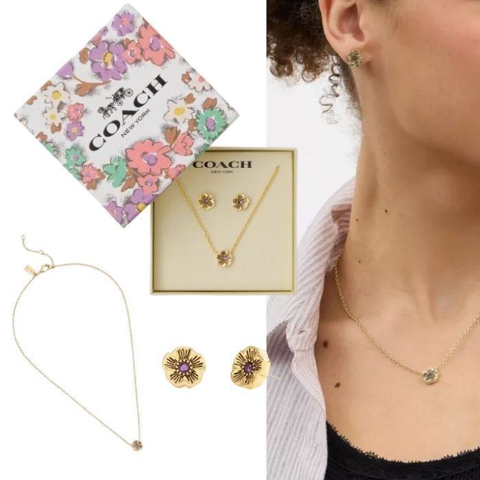 ギフトに最適【コーチ】ティー ローズ ネックレス ピアス セット