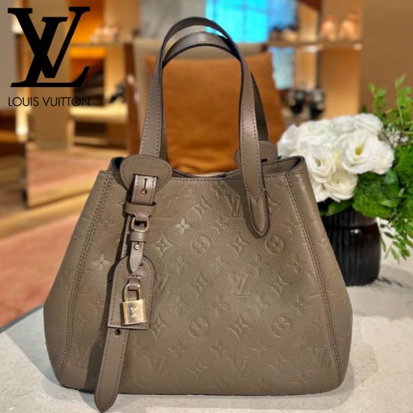 大容量で使いやすい》Louis Vuitton バッグ オールインワンPM (Louis