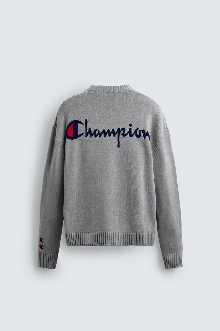 ストライプ柄パッチ CHAMPION X ZARA セーター 3920/163/802 (ZARA