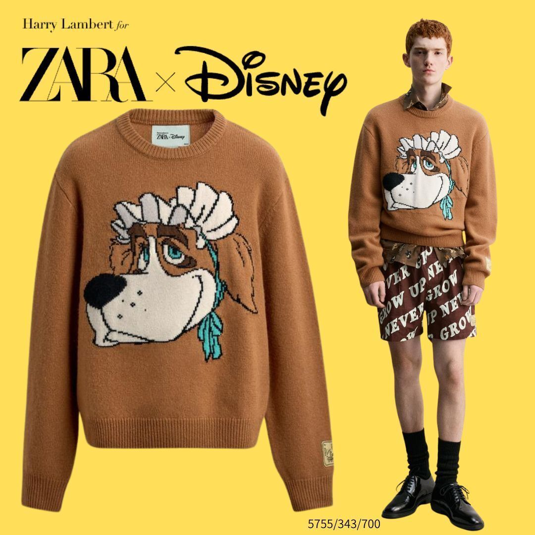 ZARA】JERSEY LANA NANA PETER PAN FOR ZARA X DISNEY (ZARA/ニット