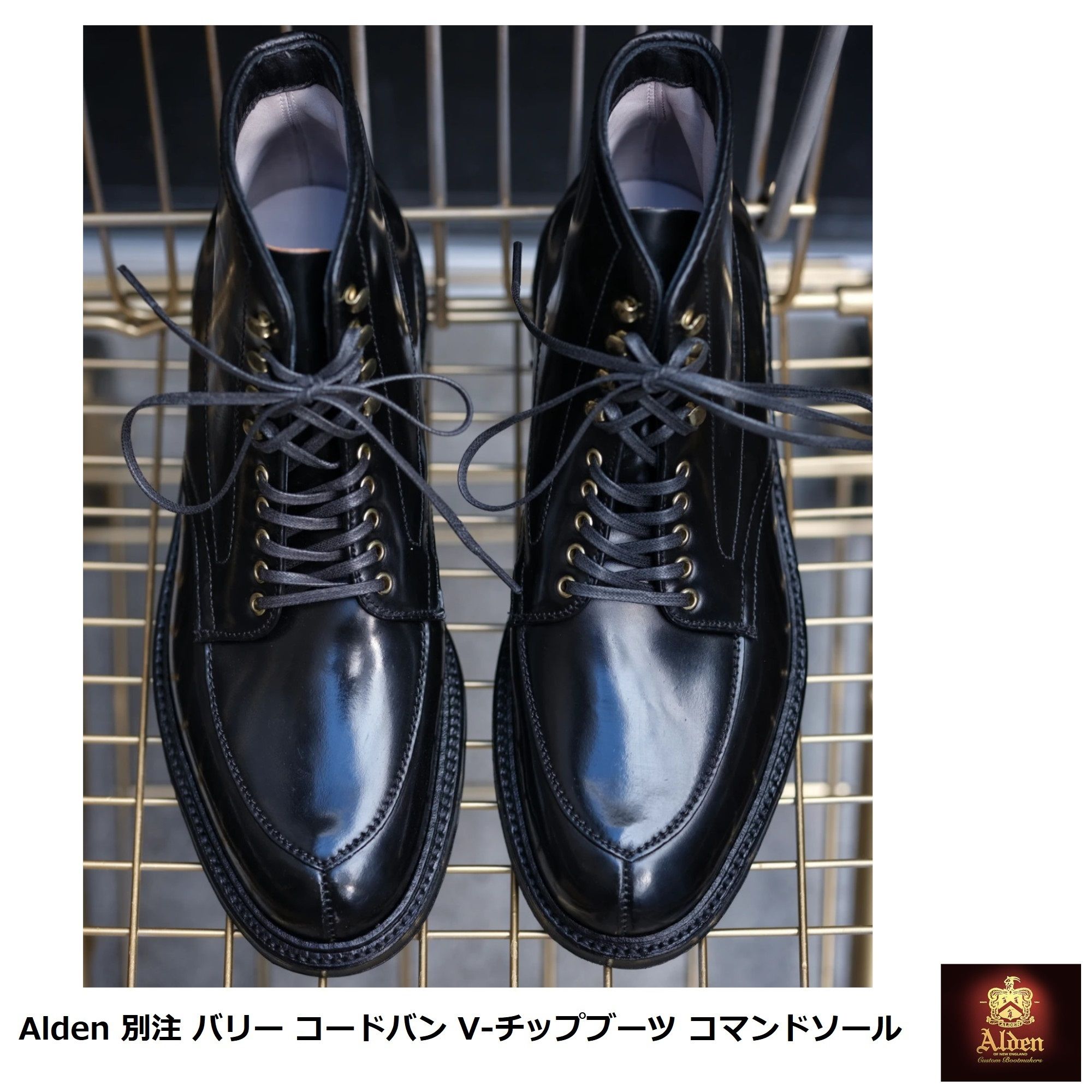 Alden] 別注 バリー コードバン V-チップブーツ コマンドソール (ALDEN