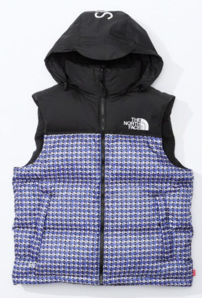 SUPREME x The North Face☆ヌプシ700フィルパワーダウンベスト
