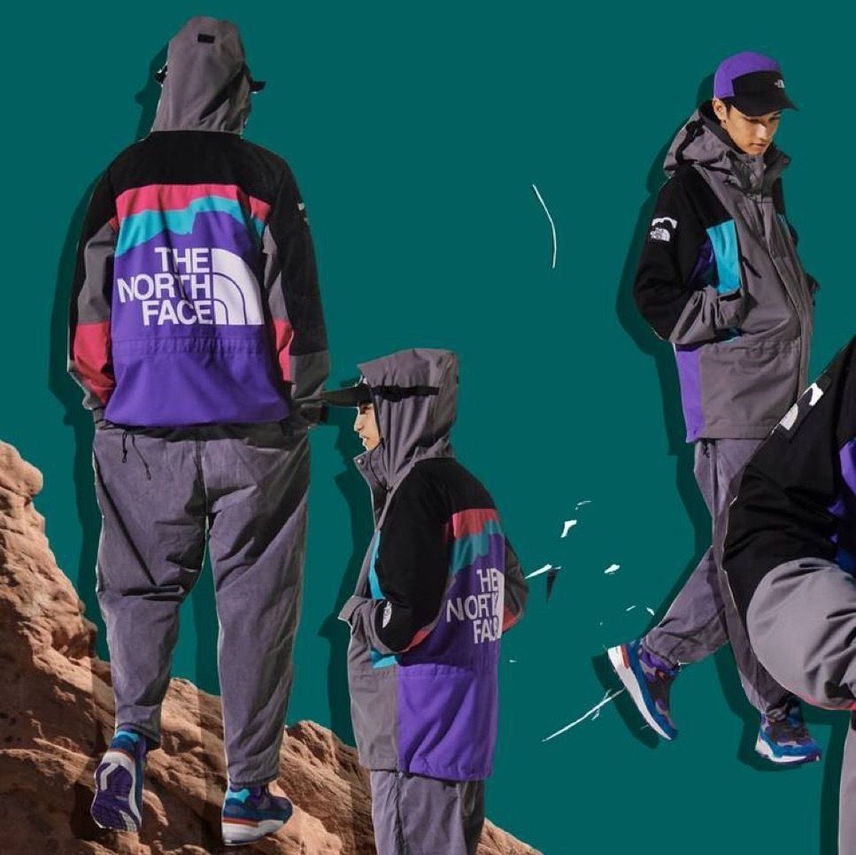 The North Face Invincible 1994 Retro Mountain Light Jacket (THE