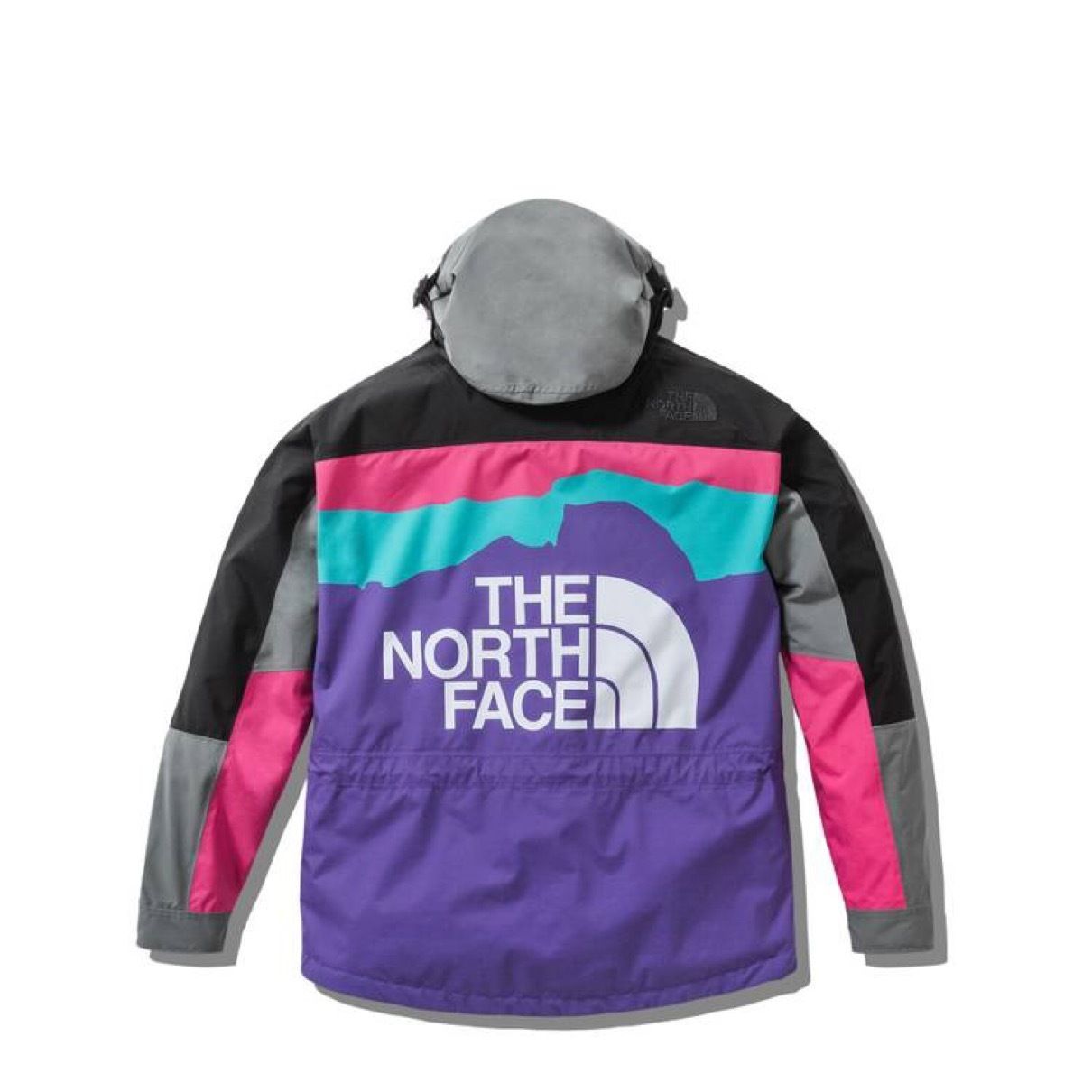 The North Face Invincible 1994 Retro Mountain Light Jacket (THE
