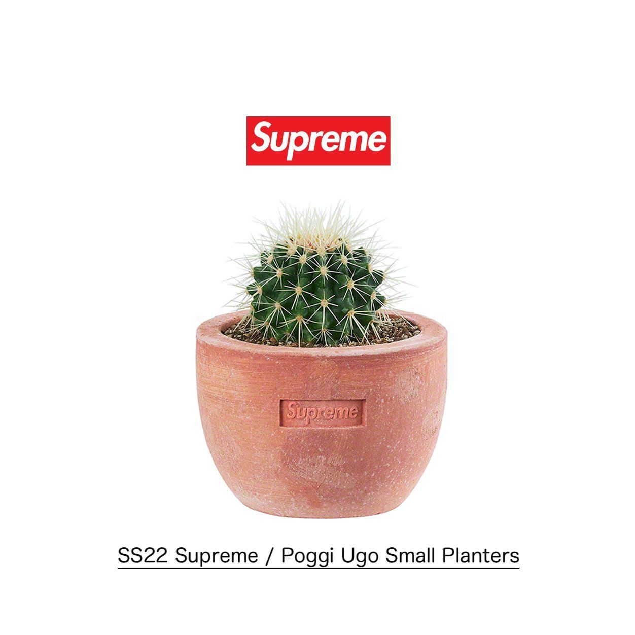 SS22 Supreme Poggi Ugo Small Planter - シュプリーム 鉢 (Supreme