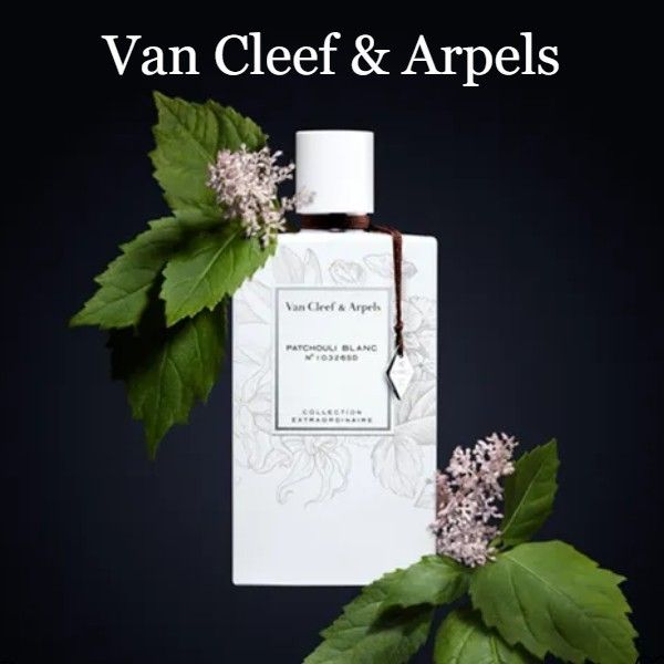 ヴァン クリーフアンドアーペル パチョリ ブラン EDP 75ML (Van Cleef