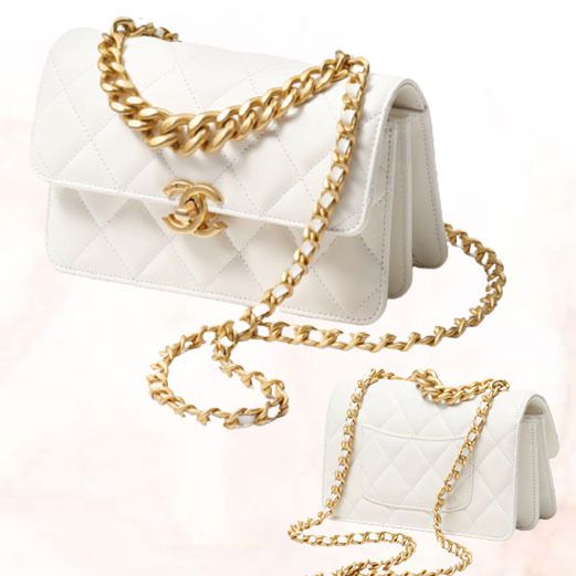 入荷極小】CHANEL 23プレAW 限定モデル カーフスキン バック (CHANEL