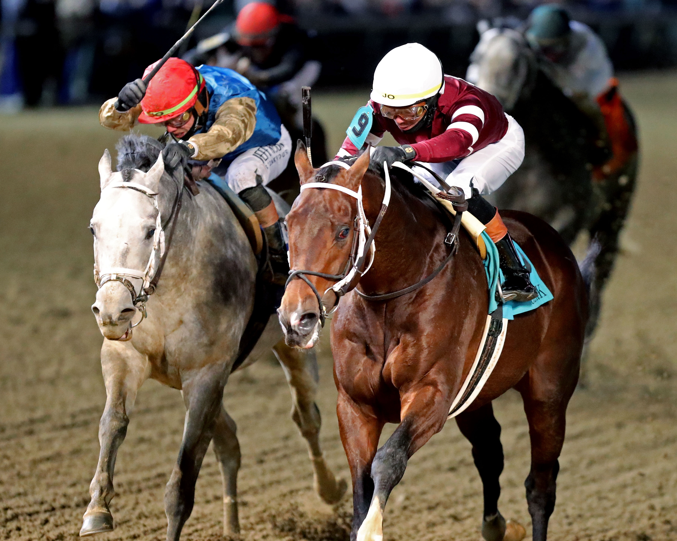 Magnitude Registers Clark Victory Over Hit Show - BloodHorse