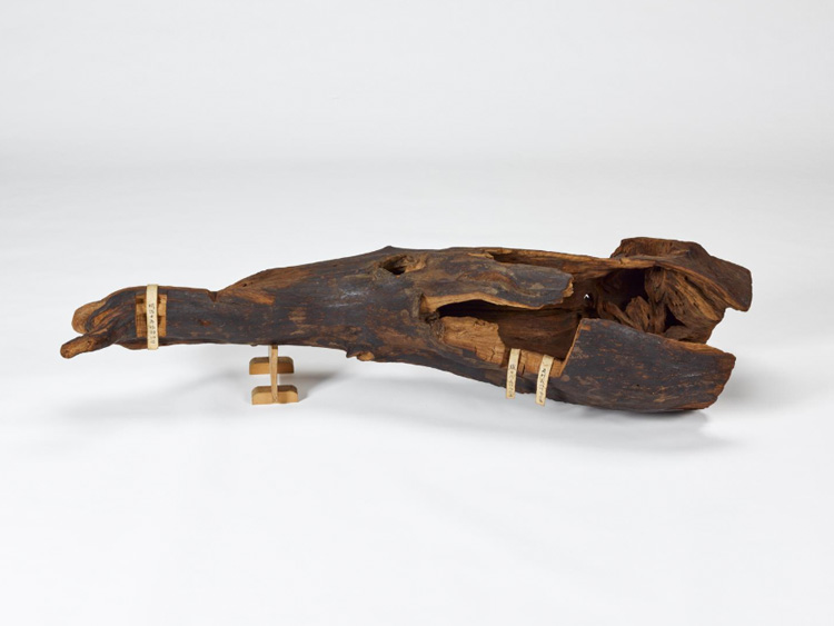 香木「蘭奢待（らんじゃたい）」の香り成分や年代が判明、正倉院