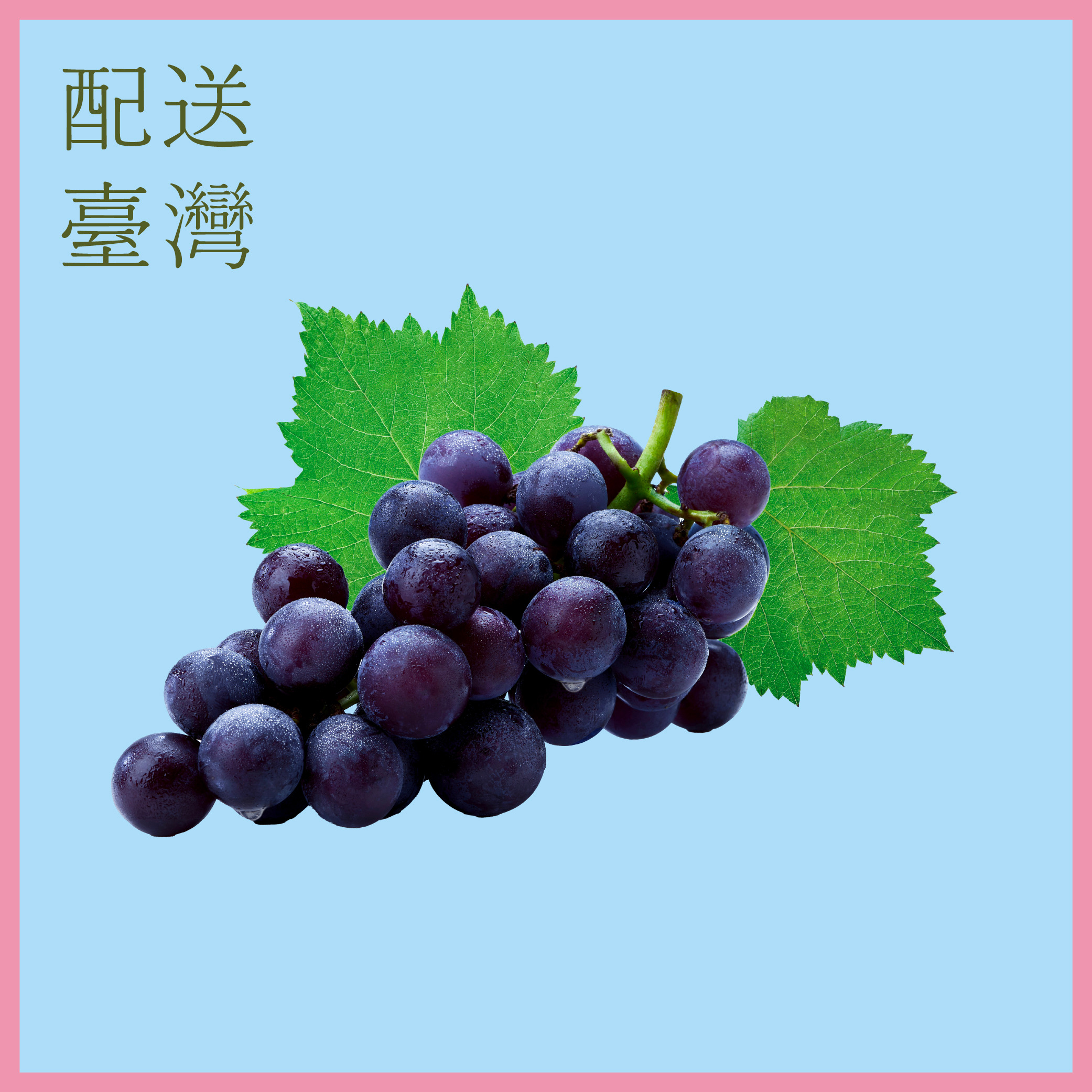 W1siZiIsIjIwMTU0L3Byb2R1Y3RzLz