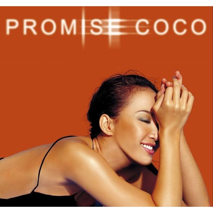 李玟/ Promise(2017雙黑膠) - 台灣索尼音樂娛樂股份有限公司