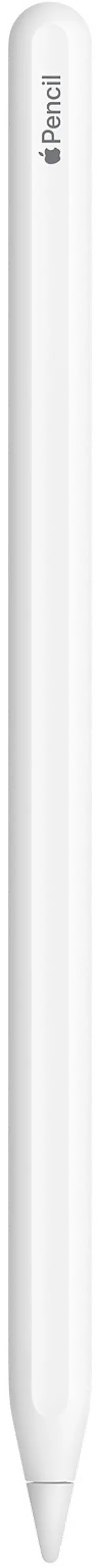 Apple Pencil (2nd Generation) | RC Willey