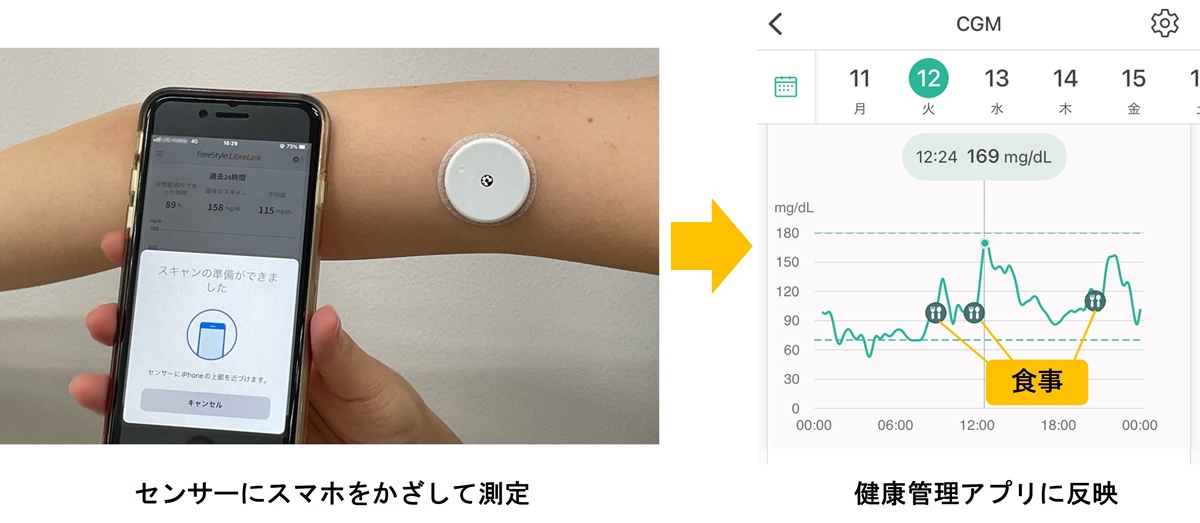 センサーで血糖値の変動を記録してみた、ビール1杯よりおにぎり2個で