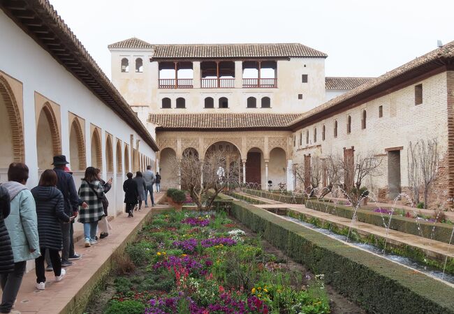 アセキアの中庭 クチコミ・アクセス・営業時間｜グラナダ【フォー