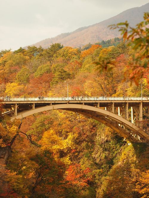 錦秋の鳴子峡 大深沢遊歩道を歩いてみよう♪ 【 鳴子峡 東北2