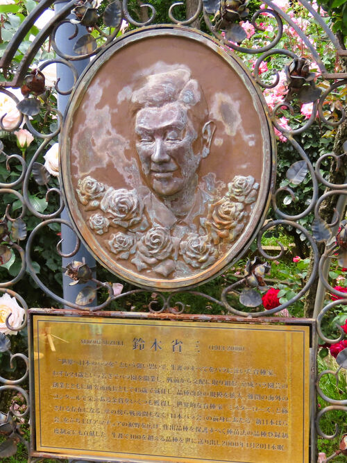 京成バラ園‐7 育種家/Mr.ローズ/鈴木省三 初代所長記念Garden ☆〈聖火