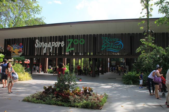 2015年年末年始】シンガポール6日間の旅：1・2日目（動物園編