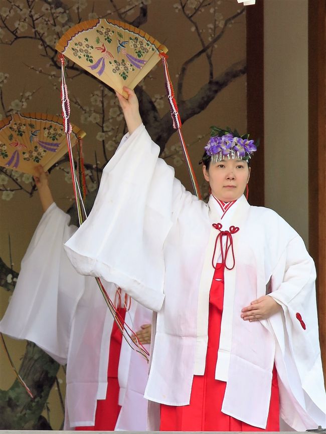 亀戸天神社c 巫女舞の奉納を観賞 ☆藤まつりの神楽殿で』亀戸(東京)の