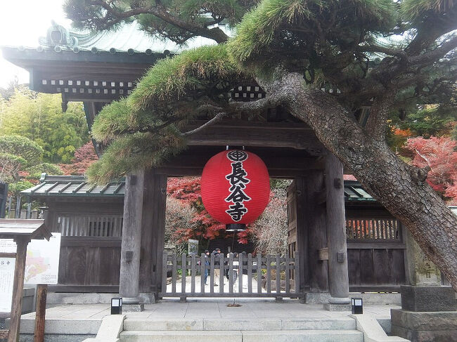 長谷寺の探訪と高徳院の鎌倉大仏 2024.12』鎌倉(神奈川県)の旅行記