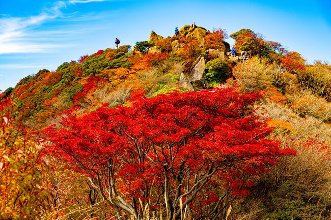くじゅう連山の紅葉 2025』筋湯温泉・九重温泉郷(大分県)の旅行記