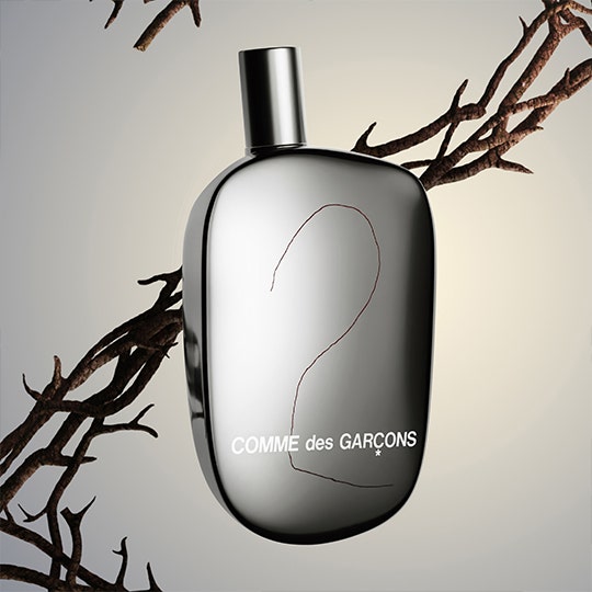 Comme Des Garcons 2 Eau De Parfum 100 ml, Aromatic | 50 ml