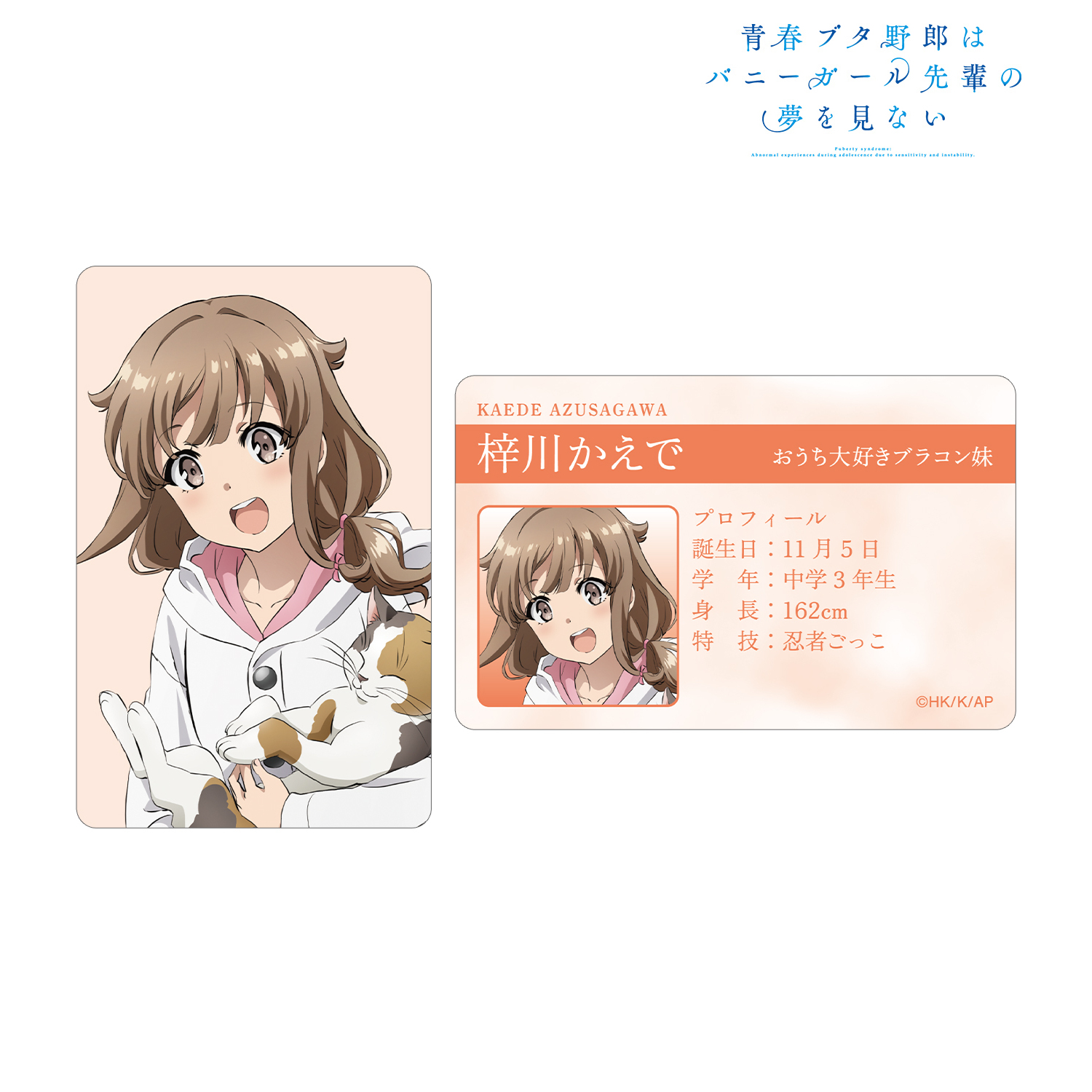 青春ブタ野郎はバニーガール先輩の夢を見ない_梓川かえで プロフィール