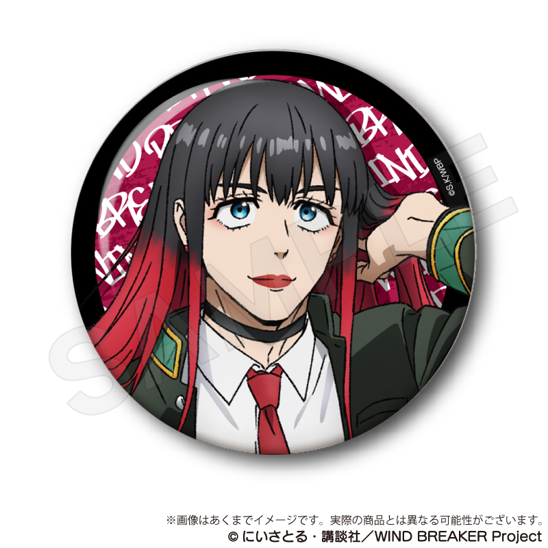 WIND BREAKER ウィンブレ ジュエリー缶バッジ 椿野佑 30点 Amazon