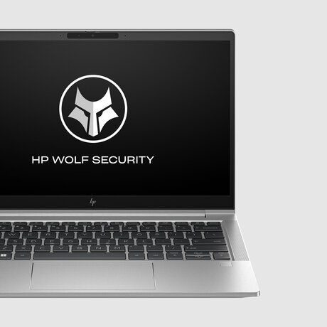HP EliteBook 630 G10 13.3