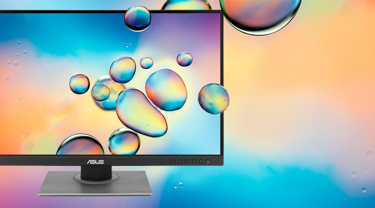 ASUS ProArt Display PA248QV 24.1