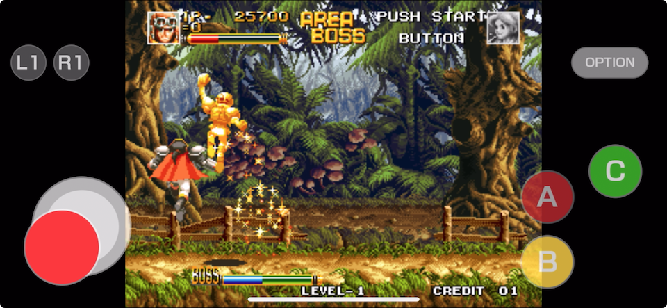 トップハンター ～ロディー＆キャシー～ アケアカNEOGEOのレビューと