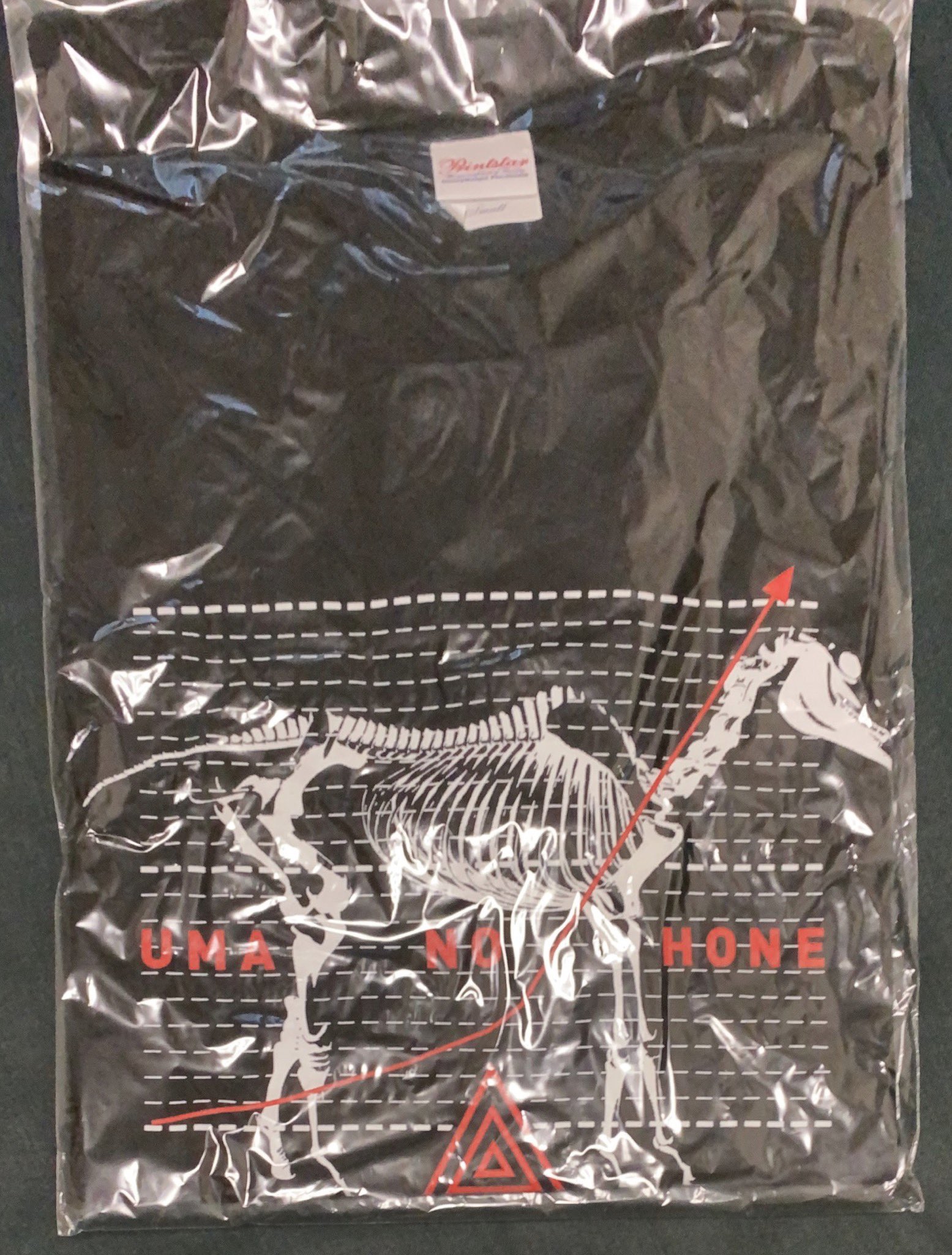 平沢進さんライブグッズ 平沢進・核P-MODELライブ公式 (@Hirasawa_Live