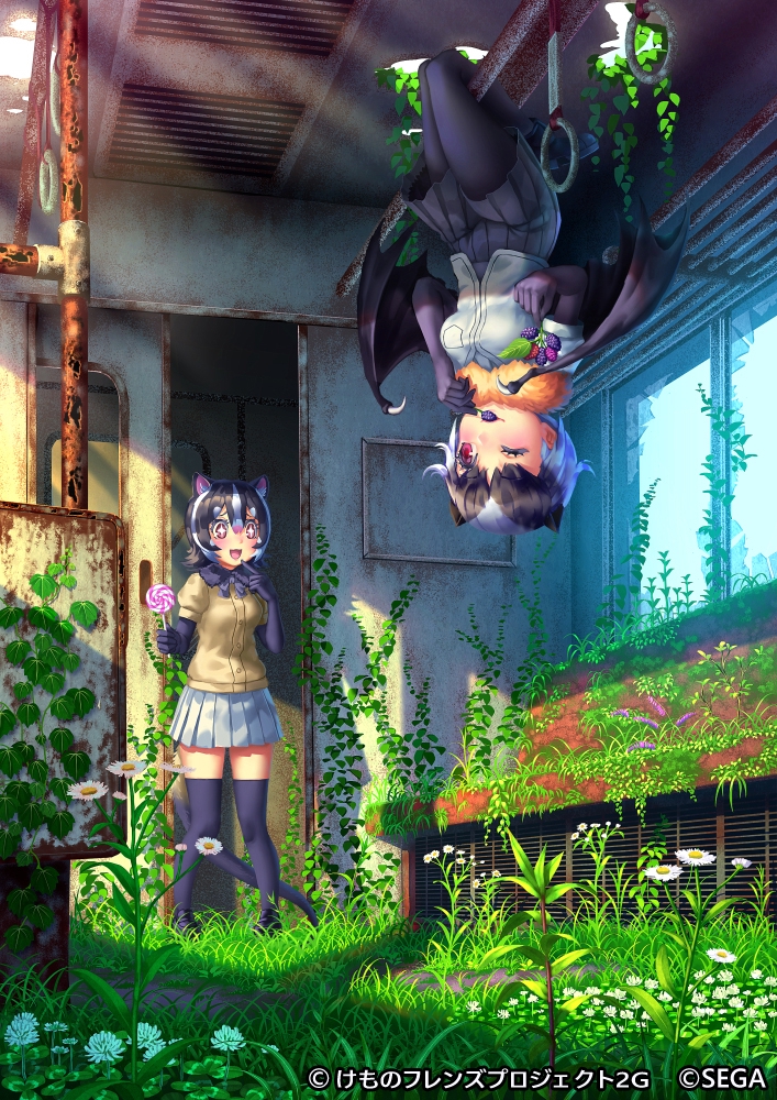 けものフレンズ3プラネットツアーズカードイラスト② | ReRhodo