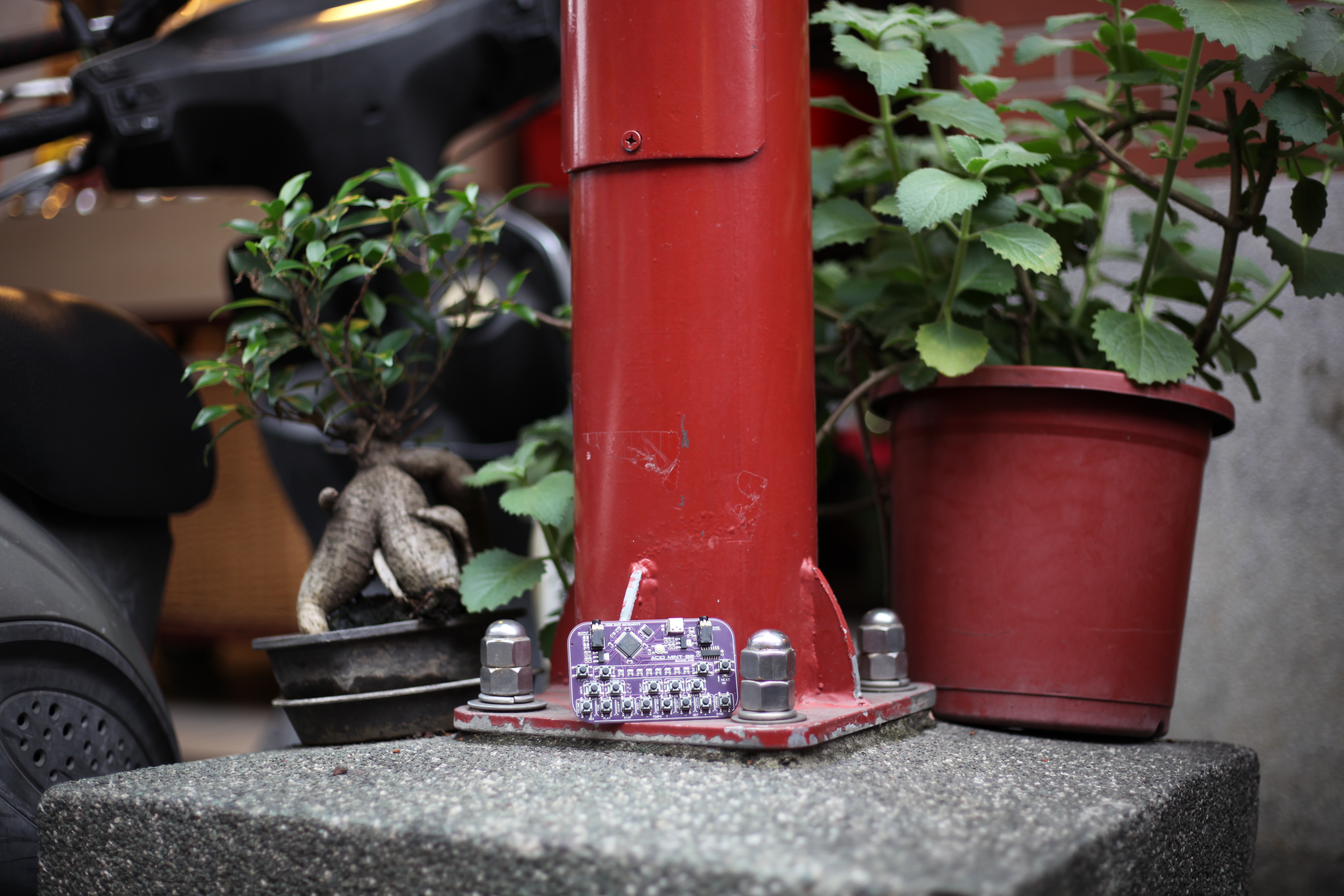 ACID MINT 82 | HOME BAKE INSTRUMENTS