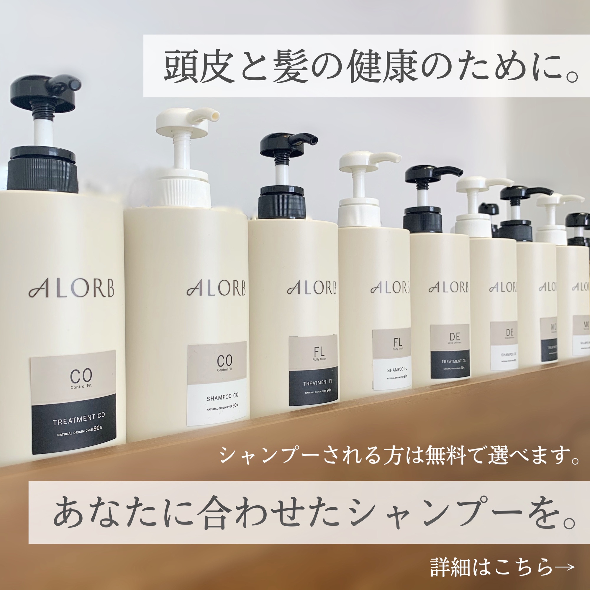 限定値下げ！新品正規購入品 アローブ ALORB LAシャントリセラムセット
