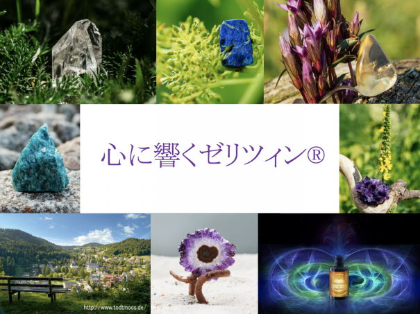 Sellizin® Elixir Japan（ゼリツィン®エリクサージャパン公式サイト）