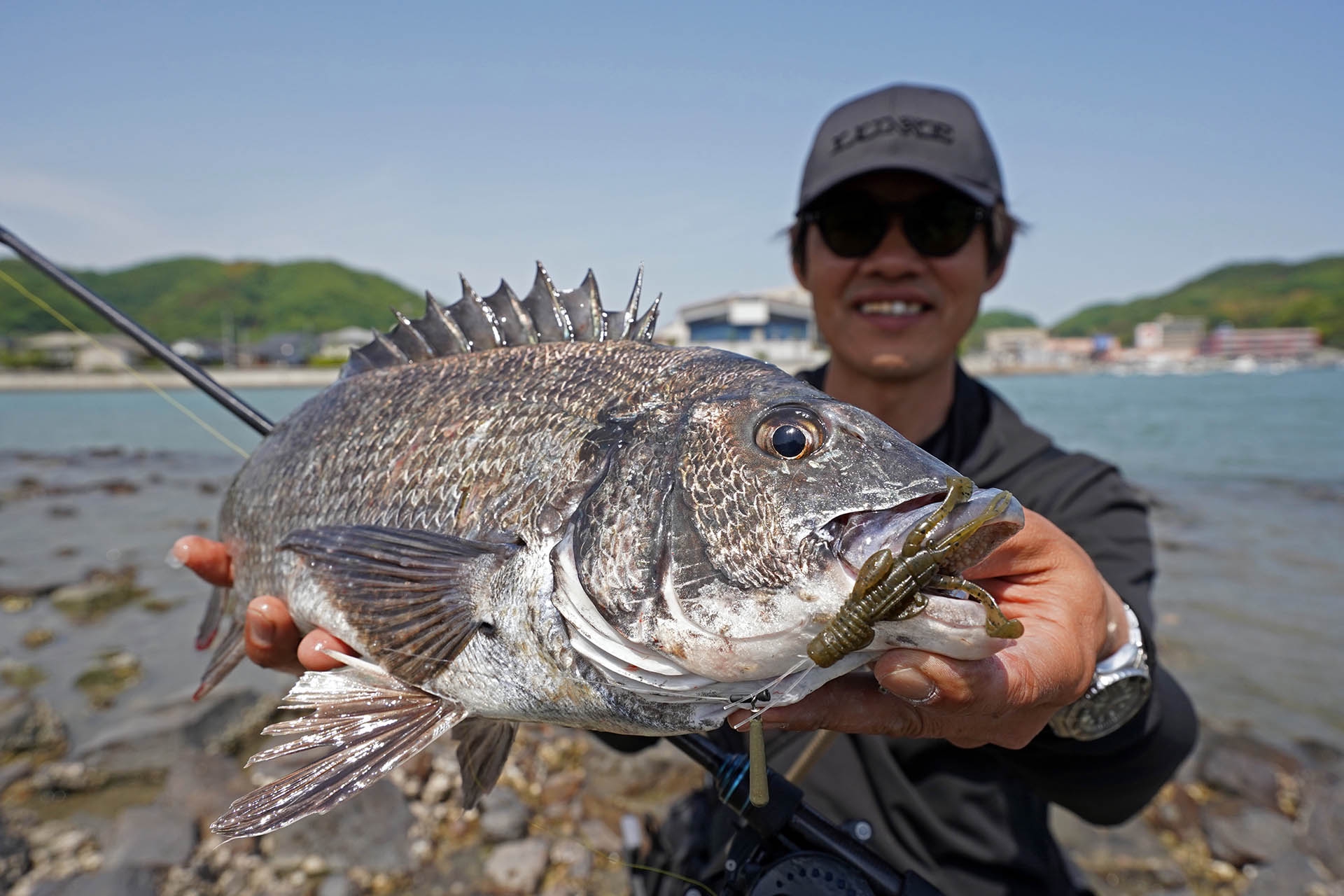 寧音にオカッパリチニングに最適解となる寧音B77H-solidが新たに登場