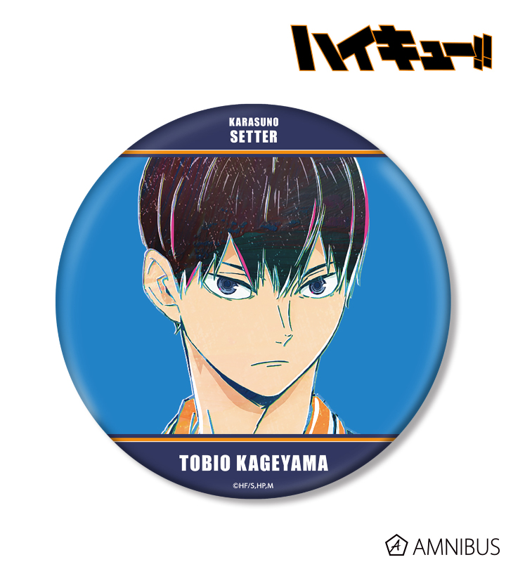 ハイキュー‼︎ 影山飛雄 缶バッチ28個セット グッズ-バッチ