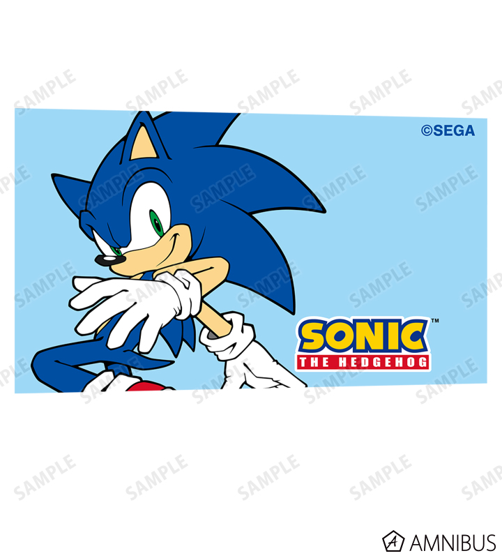 ソニック・ザ・ヘッジホッグ - ソニック・ザ・ヘッジホッグ サラサ