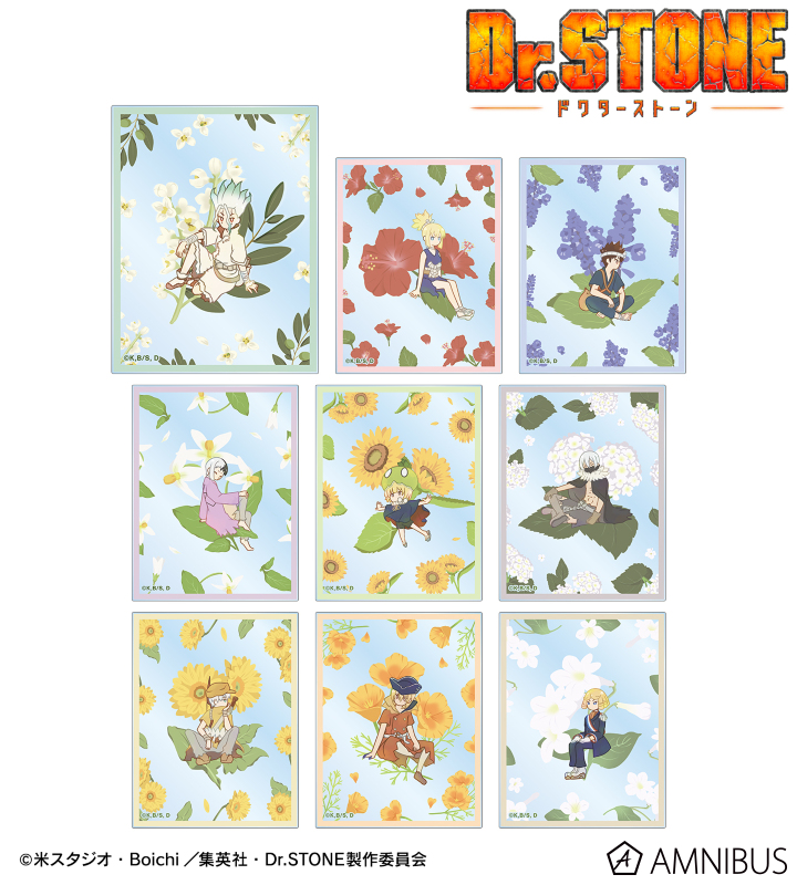 Dr.STONE 海鮮せんべい おまけカード 千空