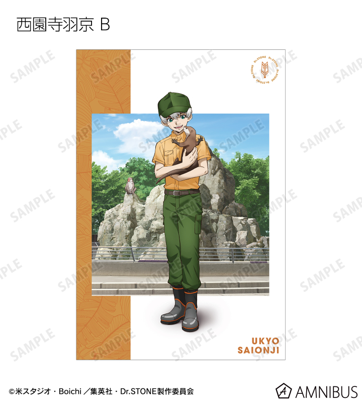 ドクターストーン 特典ポストカード 初版 全巻+小説、公式ファンブック