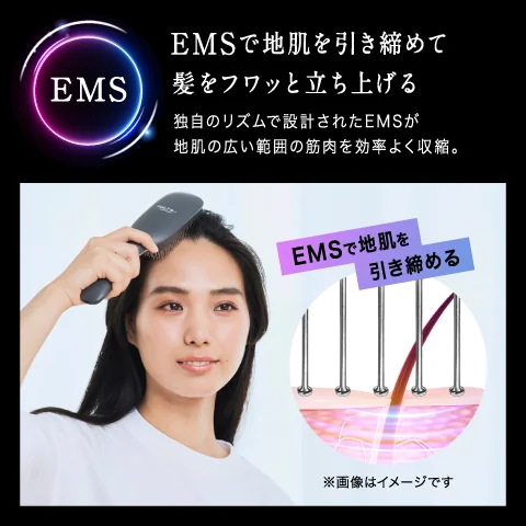 アンファースカルプD公式通販 | 予防医学のアンファーストア