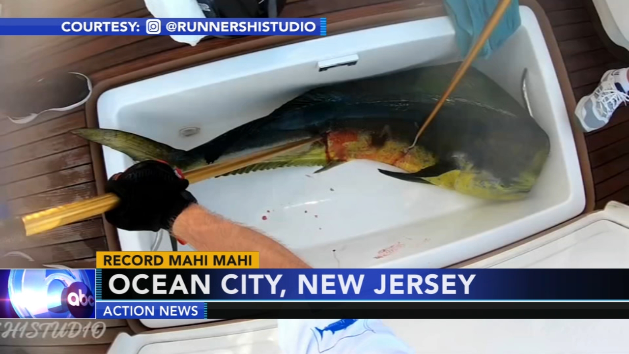 4141603_090418-wpvi-big-catch-