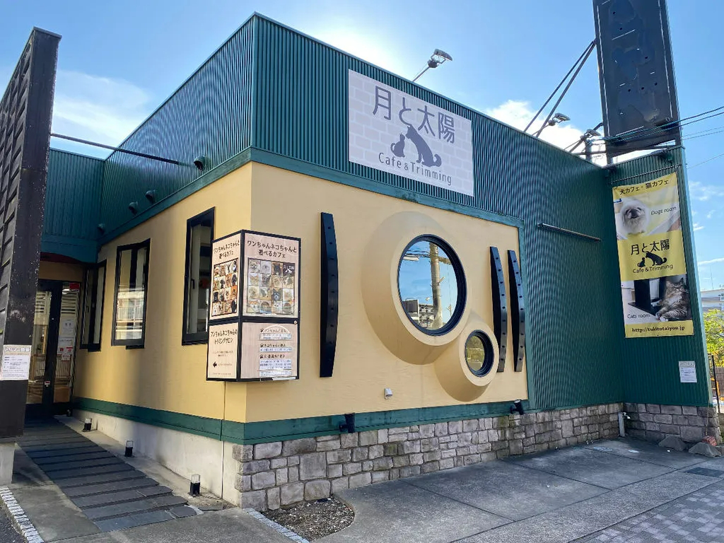 犬・猫カフェ【 ☆犬と遊ぶコース☆ 90分制・土日祝は60分制となります