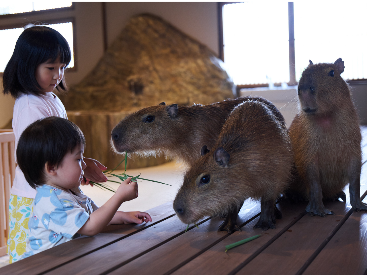 栃木県・日光市】【土日祝☆入場券】【最大300円割引！】おさるさん達