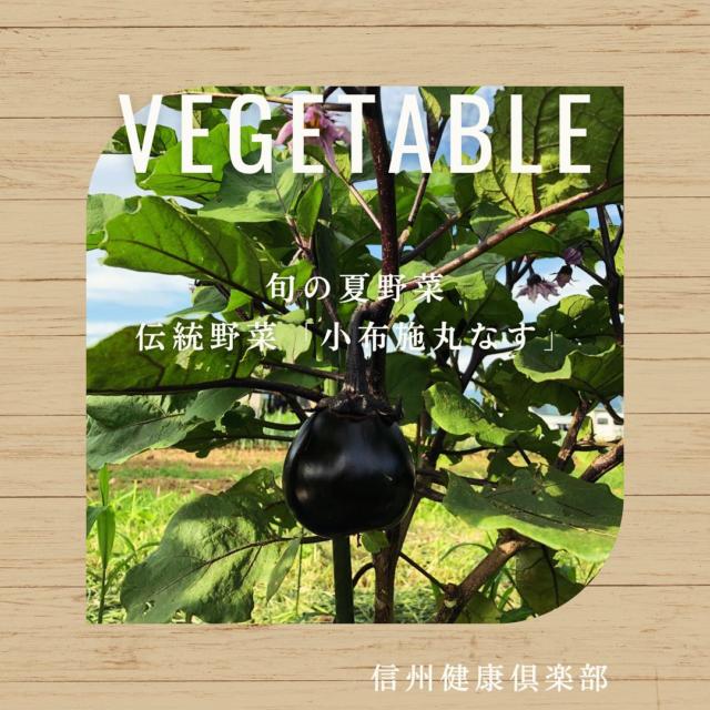 空気活性機「Air Cube（エアキューブ）」（テネモス商品）の信州健康倶楽部