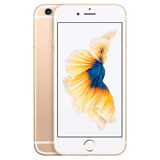 iPhone 6S 16GB Gold - Refurbished product | Allo Allo (United States)