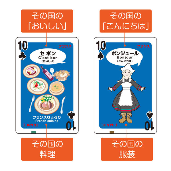 アーテック 世界のいろいろトランプ 7914 1セット(5個)（直送品