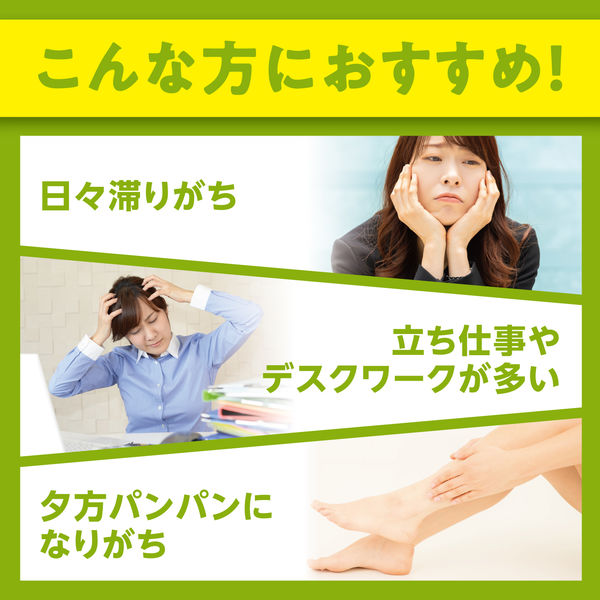 DHC メリロートプラス（20日分） 1セット（1袋（40粒）×2